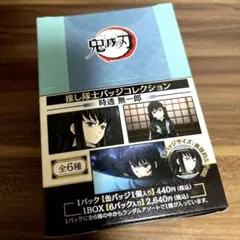 2026年最新】鬼滅の刃 推し隊士バッジコレクション/時透 無一郎の人気