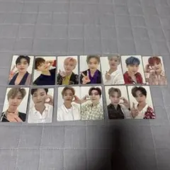 SEVENTEEN セブチ 舞い落ちる花びら carat盤 トレカ 13枚 全員