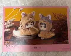 るかっぷ ハイキュー!! ポストカード