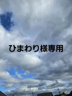 ⭐ひまわり様専用⭐