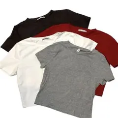 ZARA 白　赤　茶色　灰色 リブ編み チビT　クロップド丈 Tシャツ4枚セット
