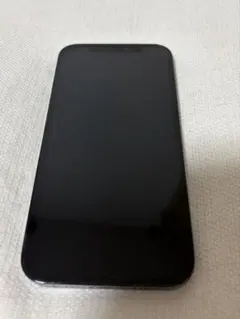 Apple iPhone 12 256GB 本体 ブラック ケーブルおまけ付き - メルカリ