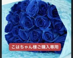 こはちゃん様ご購入専用ページ