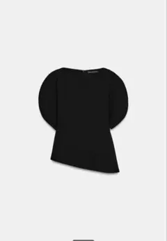 ZARA ZWコレクション パフスリーブトップ XS - メルカリ