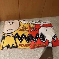 PEANUTS チャーリー・ブラウン スヌーピー クッション