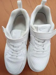 Item thumbnail for item 0b1ac362-44c6-4ce3-a3ca-74aff826af7f