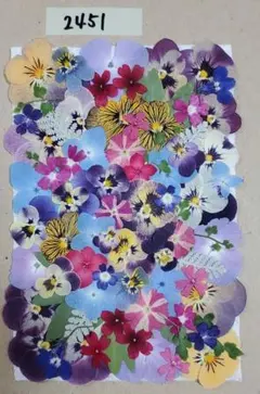 押し花素材2451染色含む