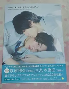 美しい彼 公式ビジュアルブック