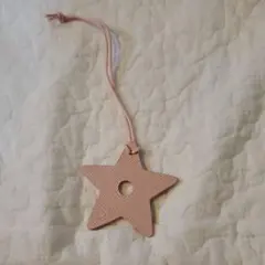 Dior ディオール ストラップ スター