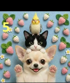 ハンドメイド羊毛フェルトチワワ他犬種5体セットぬいぐるみ置物 - メルカリ