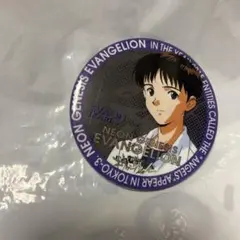 碇シンジ　渚カヲル　エヴァンゲリオン　激レア缶バッジ シンエヴァンゲリオン 劇場版 缶バッジ 渚カヲル 碇シンジ