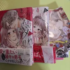 君を焦がすほどの愛を知れ全巻セット帯、特典付き
