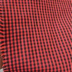 Item thumbnail for item 62d88485-92f5-443a-bb76-64f746259859