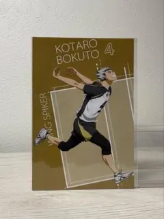 ハイキュー　ポストカード　木兎光太郎