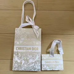 ⁠Dior ディオール ショップ袋 ショッパー リボン付き