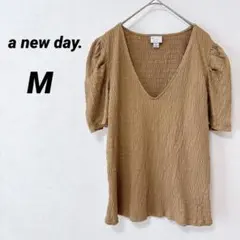 Item thumbnail for item 4187c677-7e88-410a-8157-6f315034a463