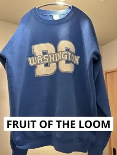 【美品】ワシントン DC 80年代　フルーツオブザルーム　春コーデ　花見コーデ