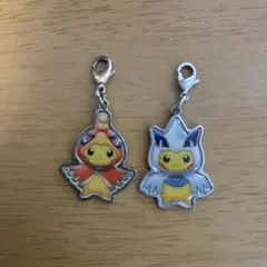 2026年最新】ホウオウポンチョ ピカチュウの人気アイテム - メルカリ