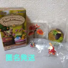 ポケモン 森の小さなお話シリーズ　コロボーシ&ホゲータ