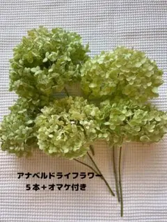 Item thumbnail for item 15099fc4-f0d0-491e-8ee9-94f2e3e2cd90