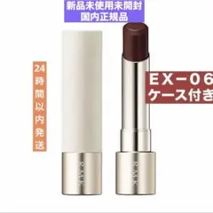 ❗️限定色❗️ＲＭＫデューイーメルト　リップカラーＥＸ－０６ケース付き