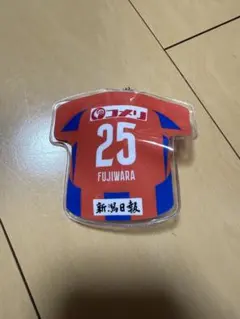 Item thumbnail for item 972aedb0-9534-4553-9a61-306d2c917cfc