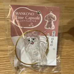 わんこのタイムカプセル【ラテ】