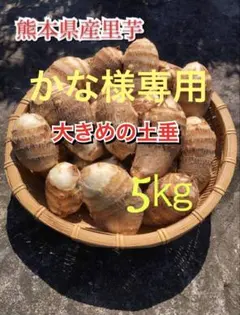 かな様専用５キロ箱重量込み