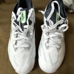 Mizuno Wave Drive 卓球シューズ ホワイト/ブラック