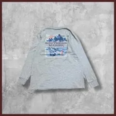 US古着 southern marsh 両面プリント ロンT 長袖 グレー L