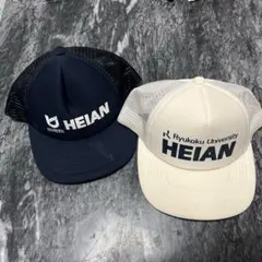 Item thumbnail for item 3340c544-6f8a-4310-8184-6c79d285faac