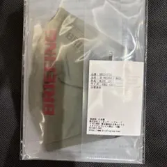 Item thumbnail for item d8107f8e-850f-41a3-90a0-fef06ed9bc0b