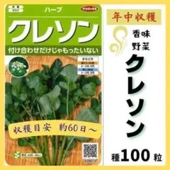 【野菜の種】新鮮☆香味野菜「クレソン」種１００粒　収６０日～