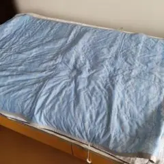 Item thumbnail for item 2c7ffb2a-a52b-4500-af09-77b221ced0cc