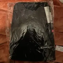 Item thumbnail for item 403892e2-89be-492f-84c6-4a757d8de663