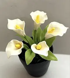 カラー　樹脂粘土