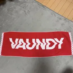 2026年最新】VAUNDY タオルの人気アイテム - メルカリ