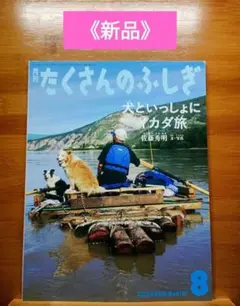 《新品》たくさんのふしぎ　犬といっしょにイカダ旅　2023年8月号