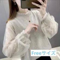 トップス　シアー袖　抜け感　立体ドット　グレージュ　フェミニン　長袖　春　秋