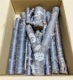 桜 自然木 詰合せ長さ9〜33cm 直径2.5cm〜4.0cm