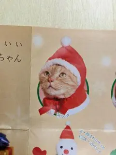 Item thumbnail for item 9823e9e2-b39d-45f6-8488-06a722b901c3