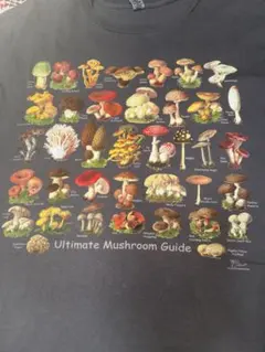 Item thumbnail for item 536b4b8f-26e8-4efc-b587-98b8737da35f