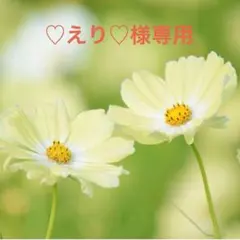 ♡えり♡様専用