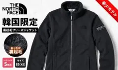 韓国限定 ノースフェイス フリースジャケット 85XS