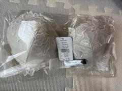 Item thumbnail for item bac160bb-97ba-468f-ad21-d488e624e4b2