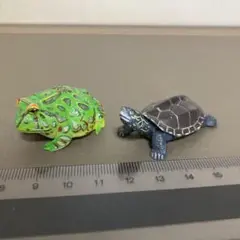 チョコエッグ日本の動物コレクション　ベルツノガエル・クサガメ