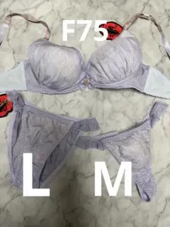 Granatusラベンダー花柄レースブラジャーショーツセットF75/M.L