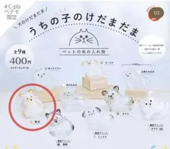 うちの子のけだまだま