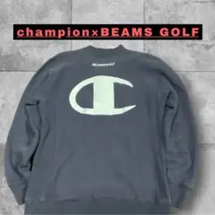2026年最新】champion バックプリント リバースウィーブの人気アイテム