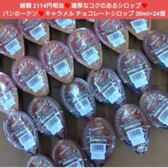バニラアイスに！バンホーテン チョコレートシロップ ポーション 24個